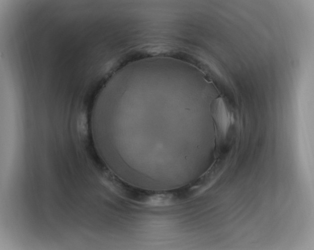 X0000113050700200909031332