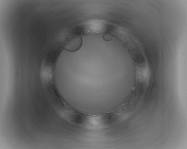 X0000113050701200909031332