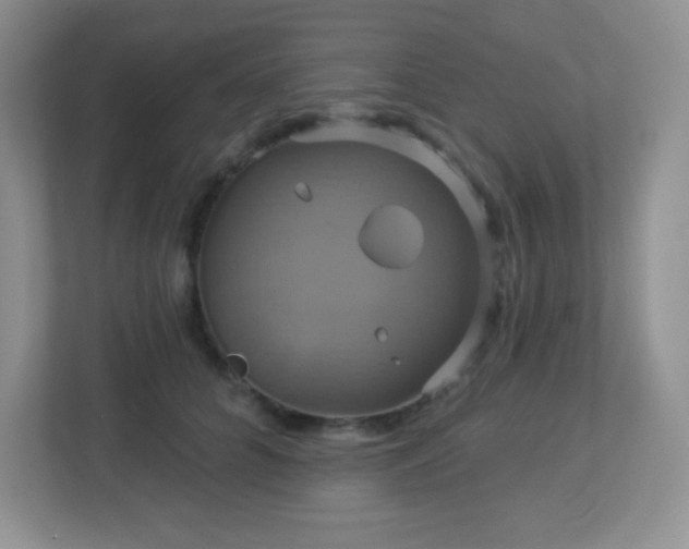 X0000113050704200909031332