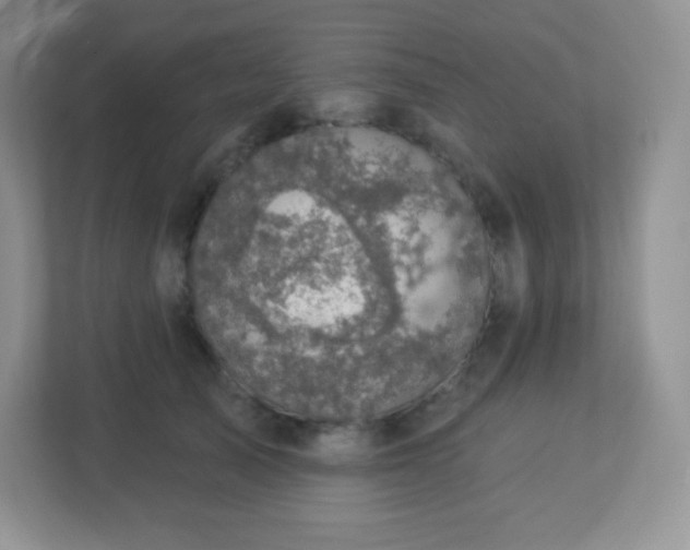 X0000113050705200909031332