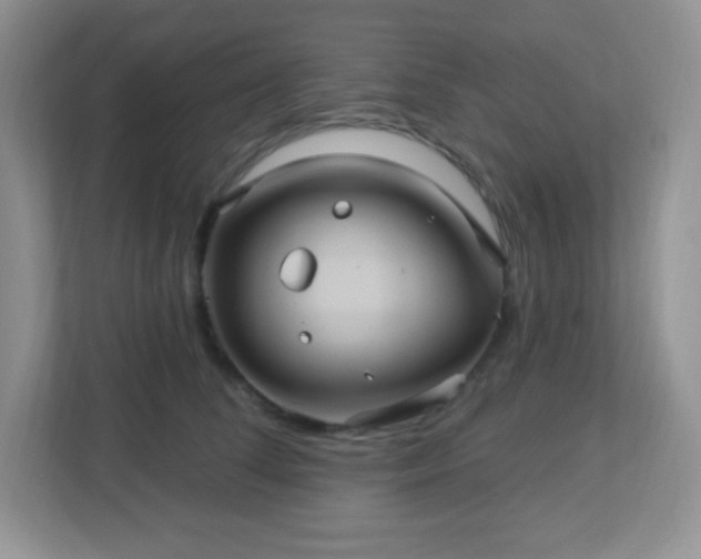 X0000113050708200909031332