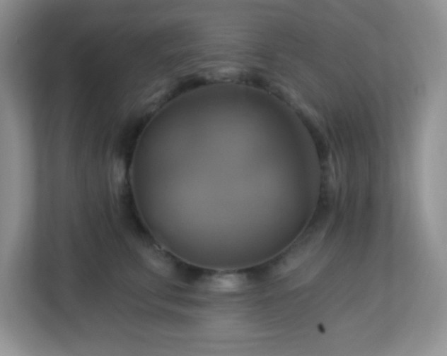 X0000113050711200909031332