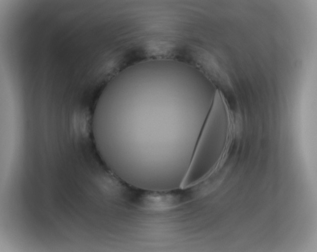 X0000113050712200909031332