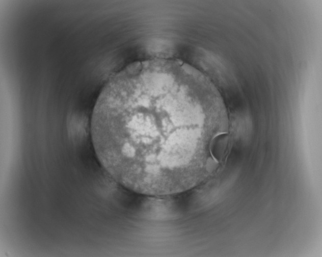 X0000113050713200909031332