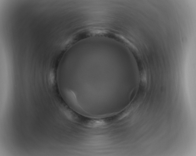 X0000113050715200909031332