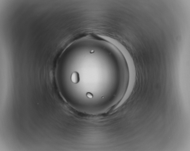 X0000113050716200909031332