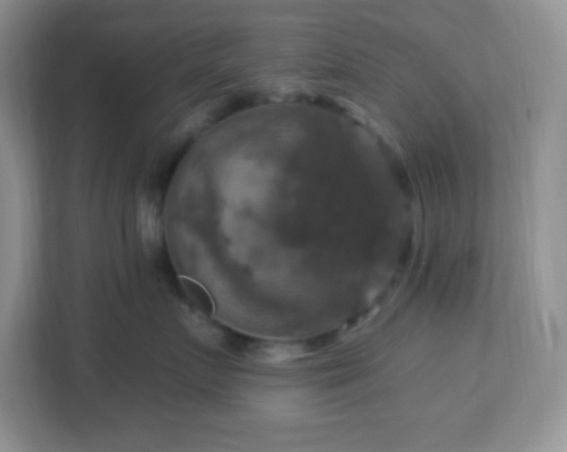 X0000113050719200909031332