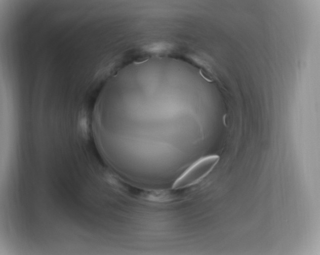 X0000113050720200909031332