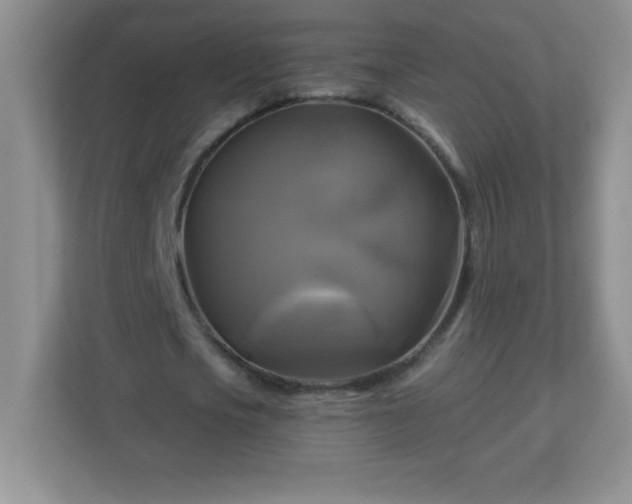 X0000113050721200909031331