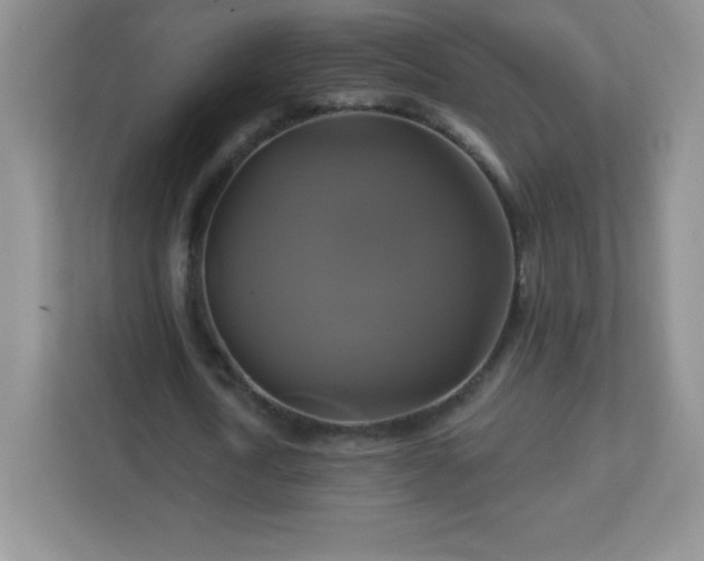 X0000113050722200909031331