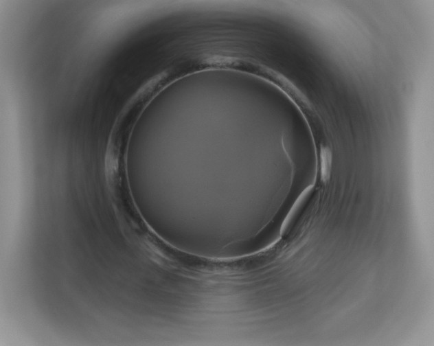 X0000113050723200909031331