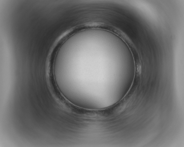 X0000113050724200909031331