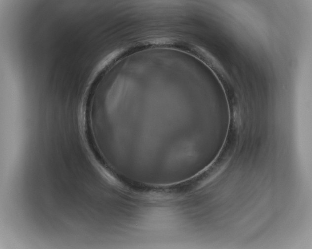 X0000113050725200909031331