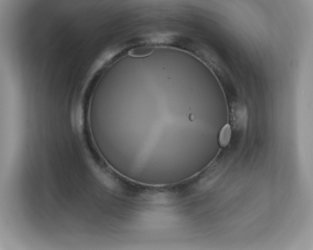 X0000113050726200909031331