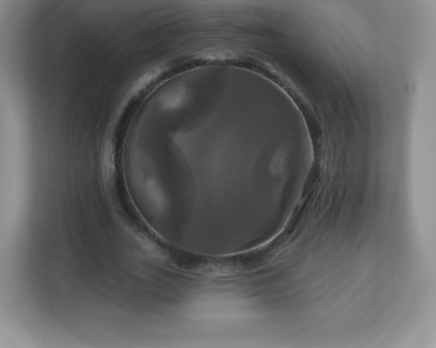 X0000113050727200909031331