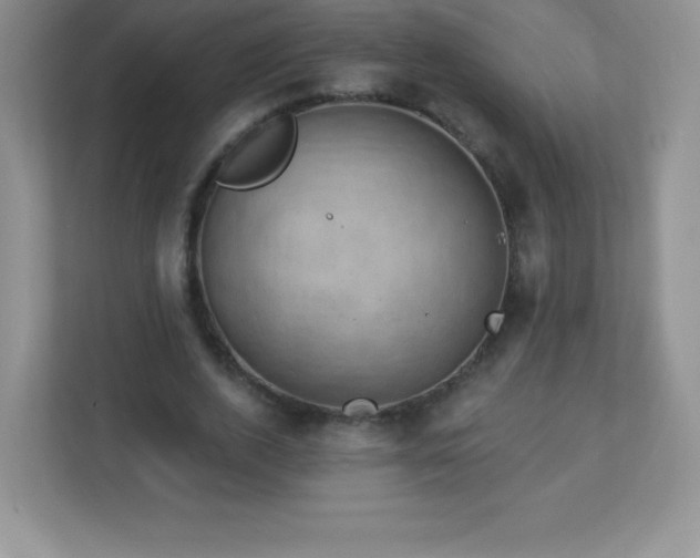 X0000113050728200909031331