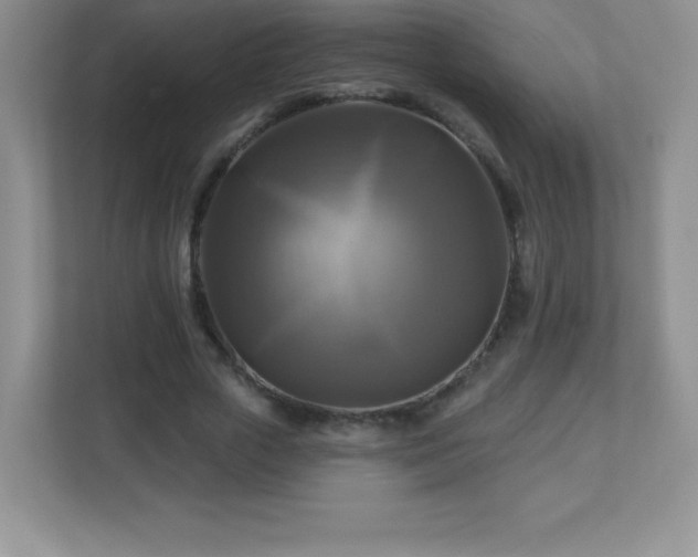 X0000113050729200909031331