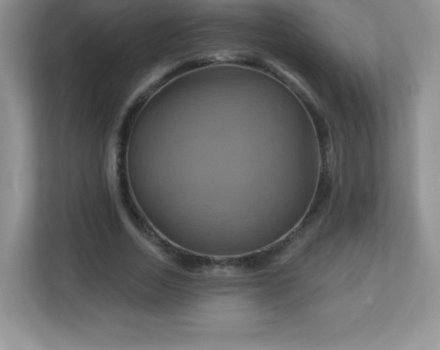 X0000113050730200909031331