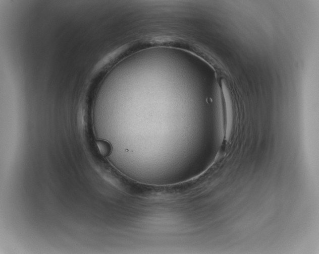 X0000113050732200909031331