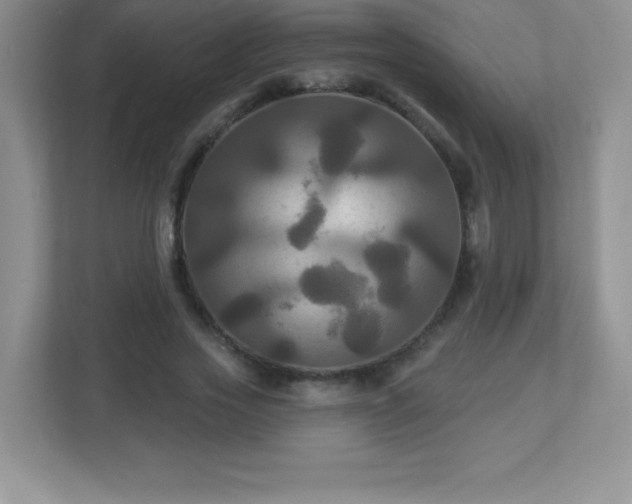 X0000113050733200909031331