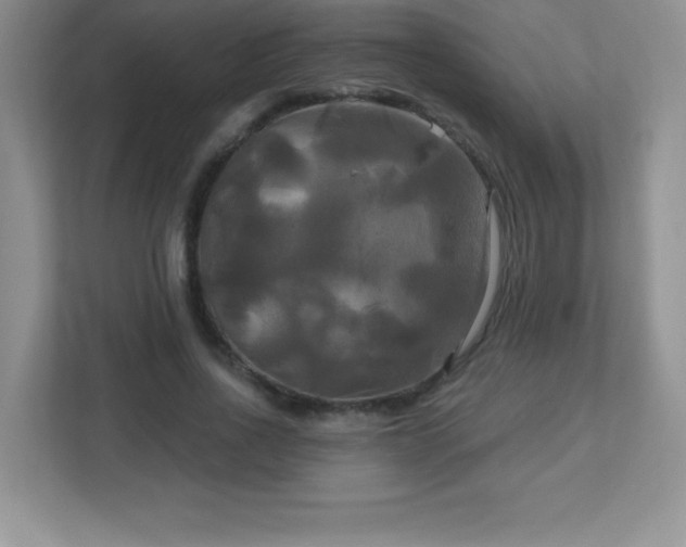 X0000113050734200909031331