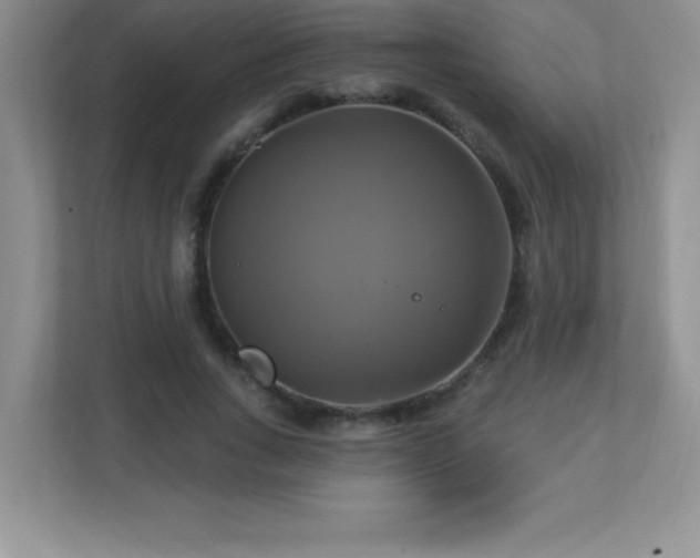 X0000113050735200909031331