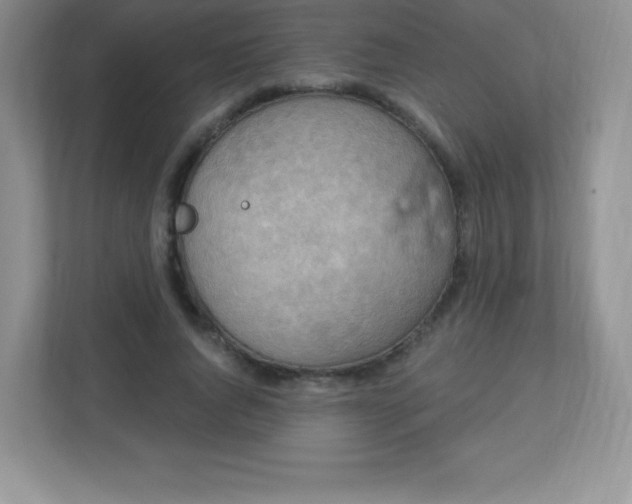 X0000113050736200909031331