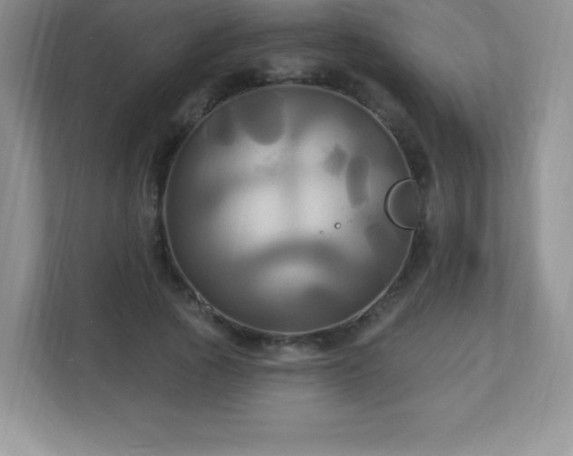 X0000113050737200909031331