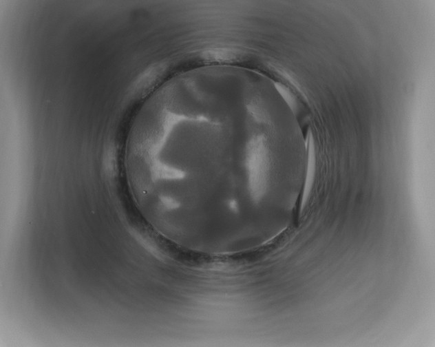 X0000113050738200909031331