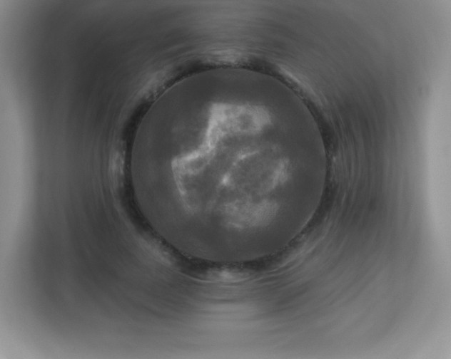 X0000113050739200909031331