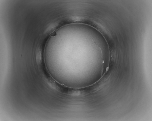 X0000113050740200909031331