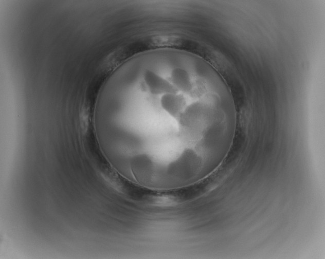 X0000113050741200909031331