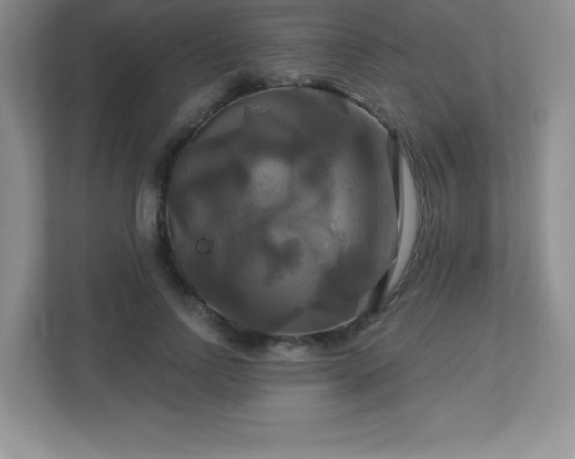 X0000113050742200909031331