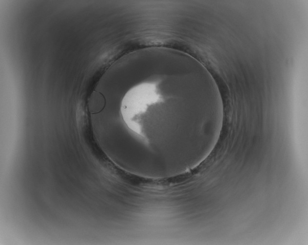 X0000113050743200909031331