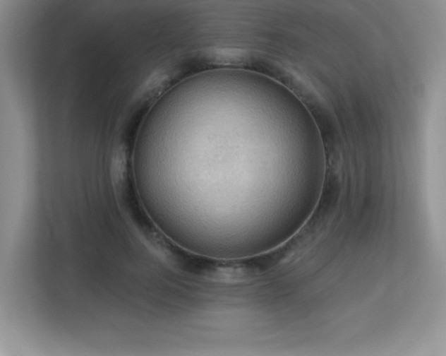 X0000113050744200909031331