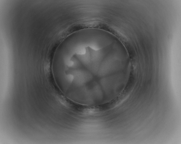 X0000113050745200909031331