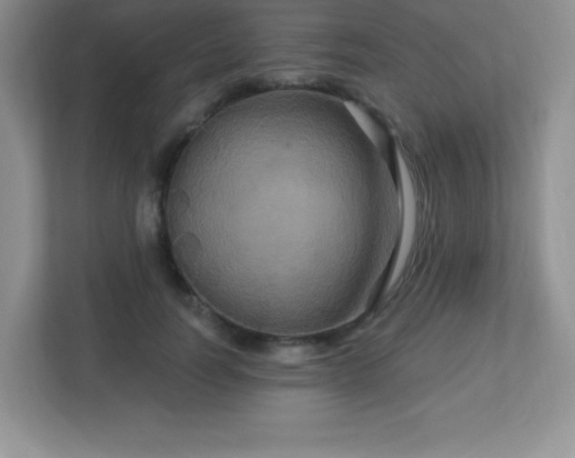 X0000113050746200909031331