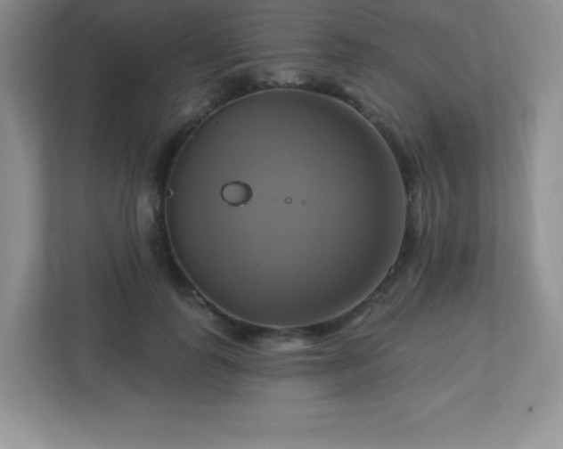 X0000113050747200909031331