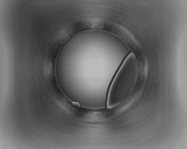 X0000113050748200909031331