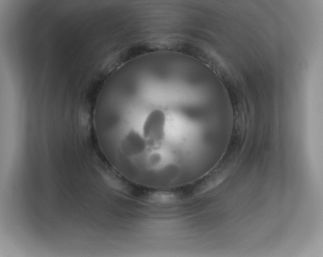 X0000113050749200909031331