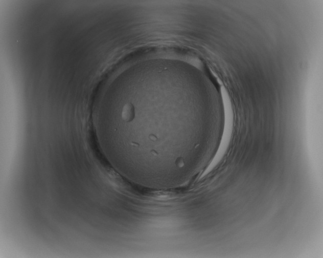 X0000113050750200909031331