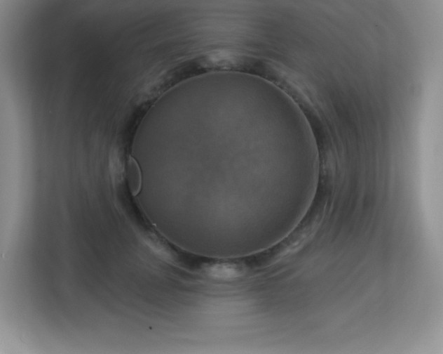 X0000113050751200909031331