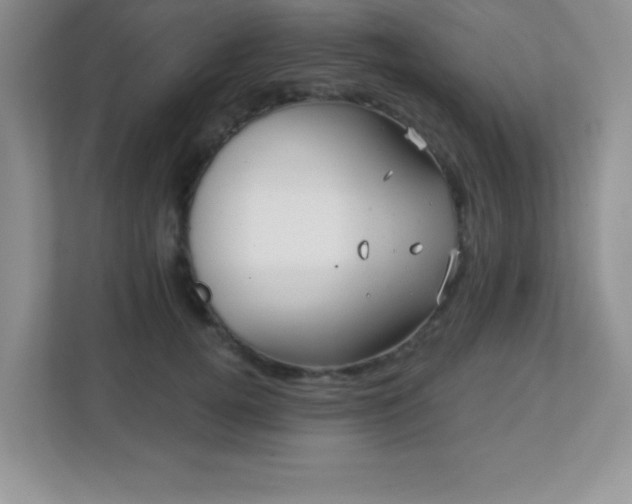 X0000113050752200909031331