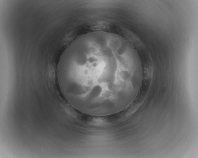 X0000113050753200909031331