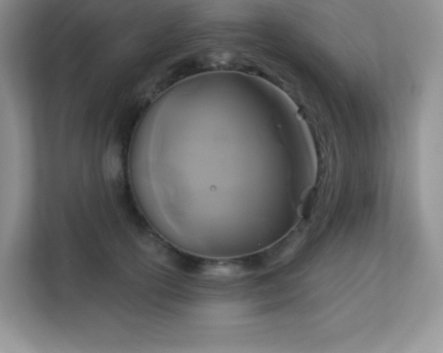 X0000113050754200909031331