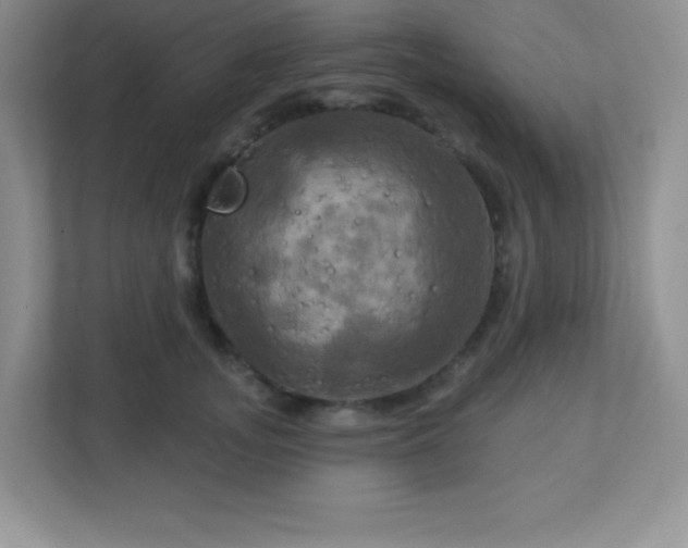 X0000113050755200909031331