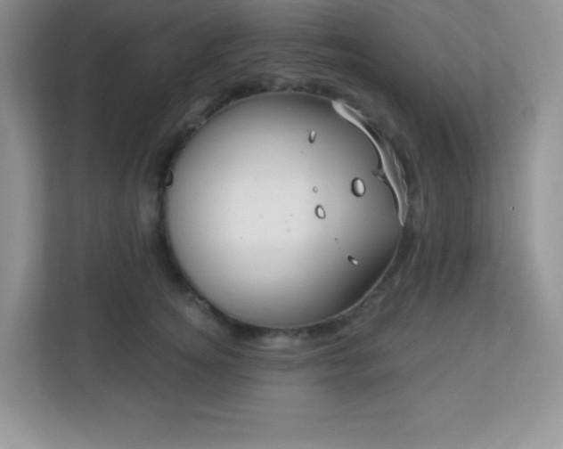 X0000113050756200909031331