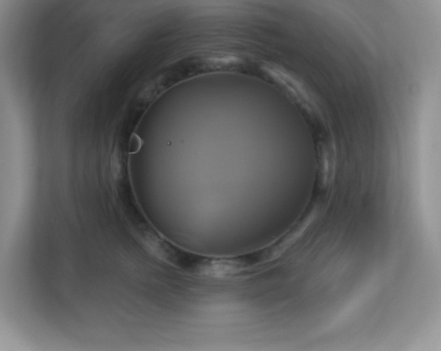 X0000113050758200909031332