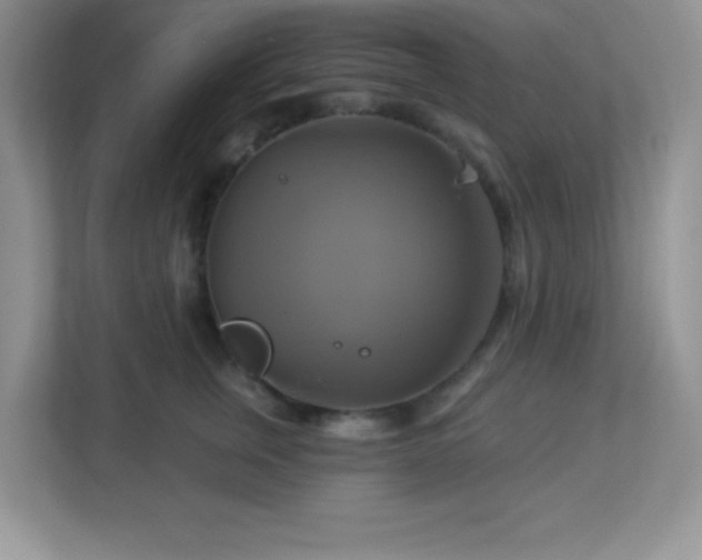 X0000113050759200909031332