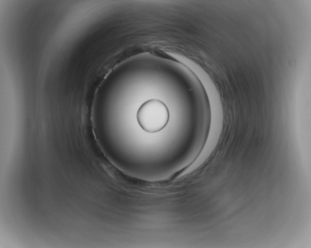 X0000113050760200909031332